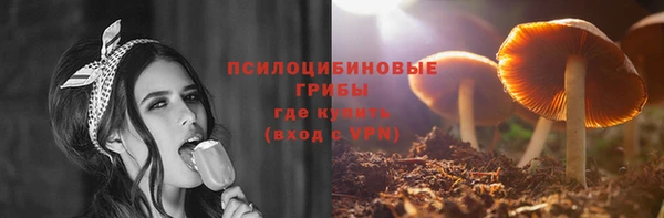 молекула духа Карпинск