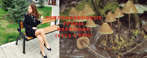 молекула духа Карпинск