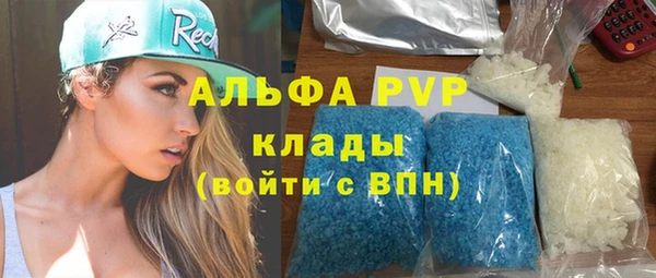молекула духа Карпинск