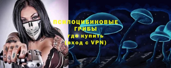 молекула духа Карпинск