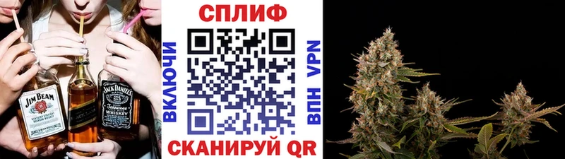 Купить где  Бавлы  Канабис планчик 